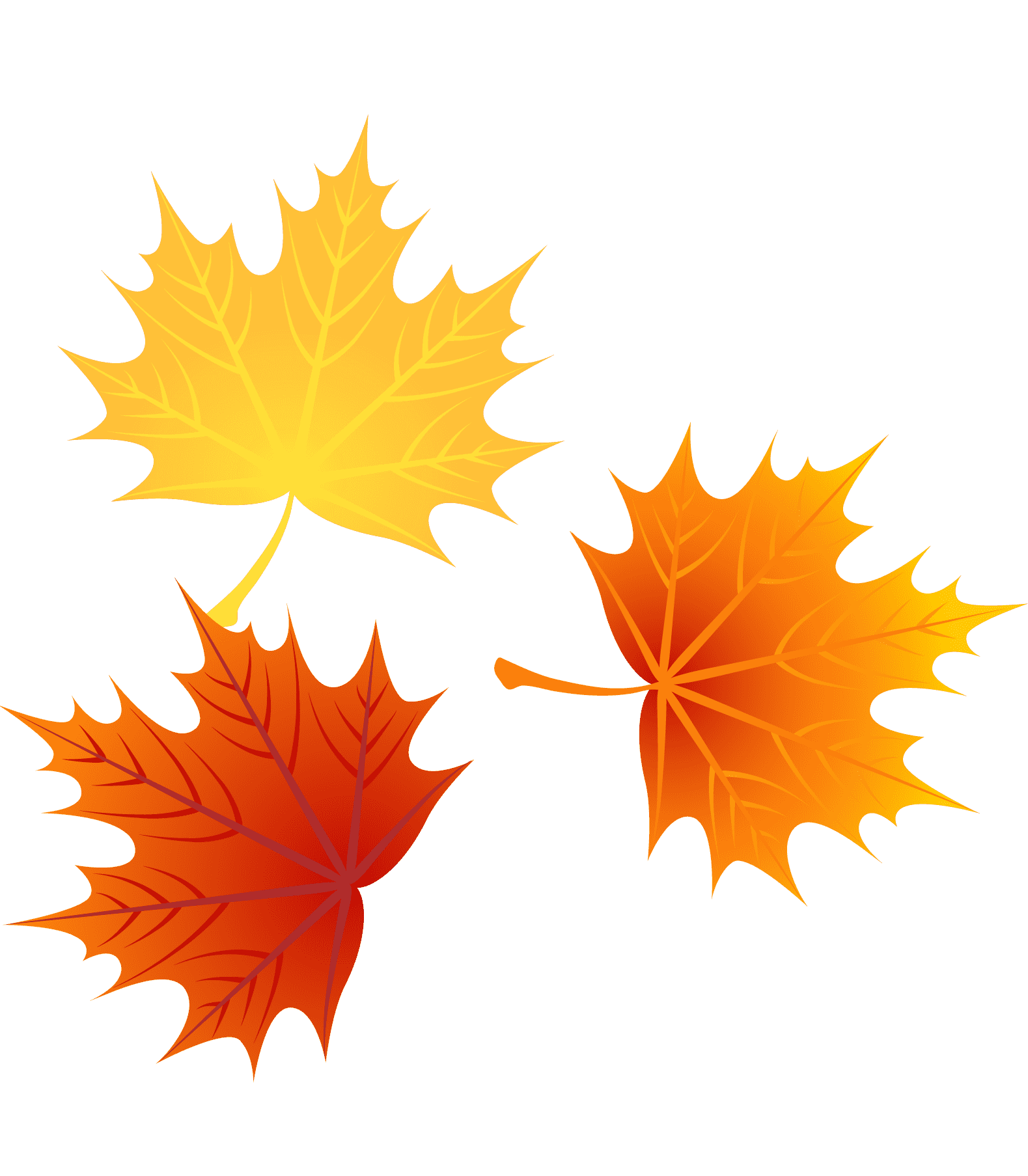 Раскраска Кленовый лист