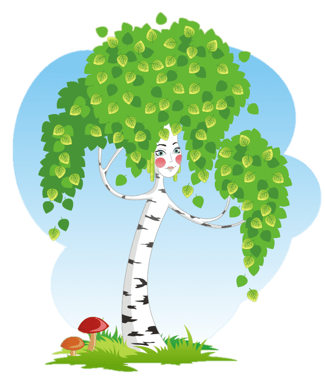 Раскраска Береза