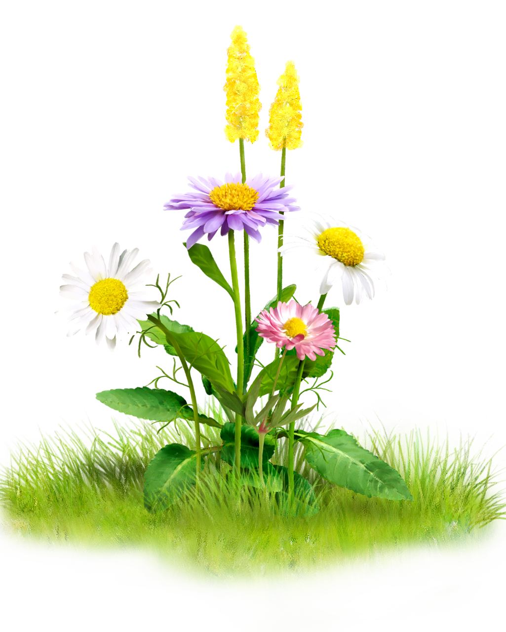 Раскраска Цветы на лугу