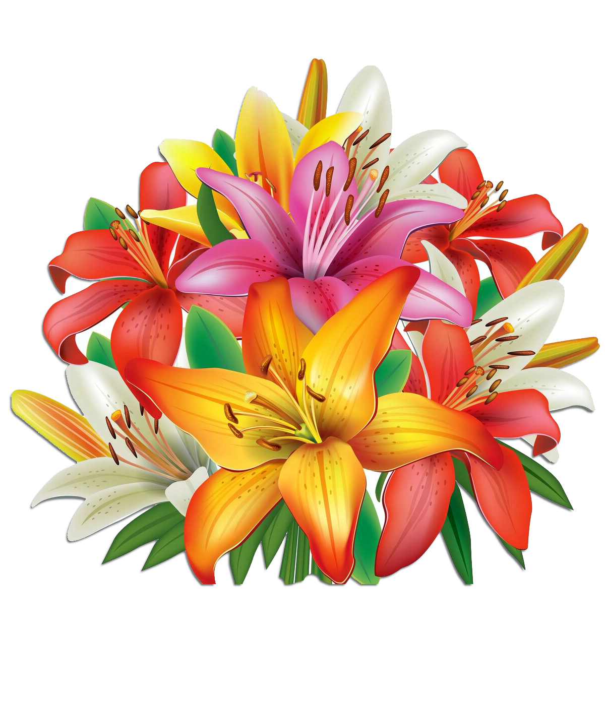 Раскраска Лилия