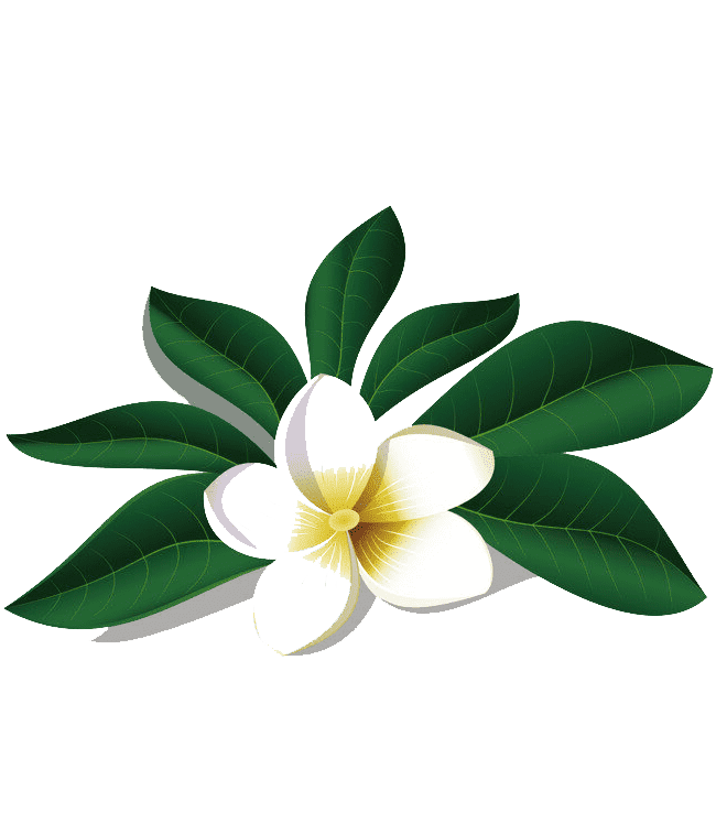 Раскраска Жасмин