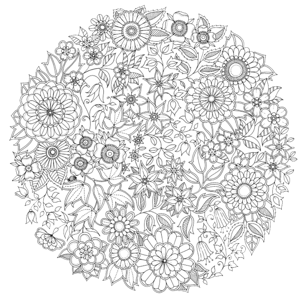 Сложные раскраски антистресс