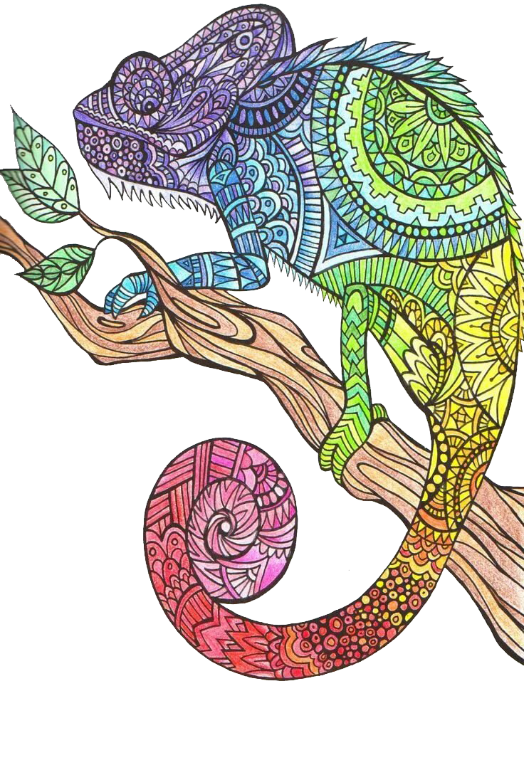 Раскраска Антистресс для взрослых