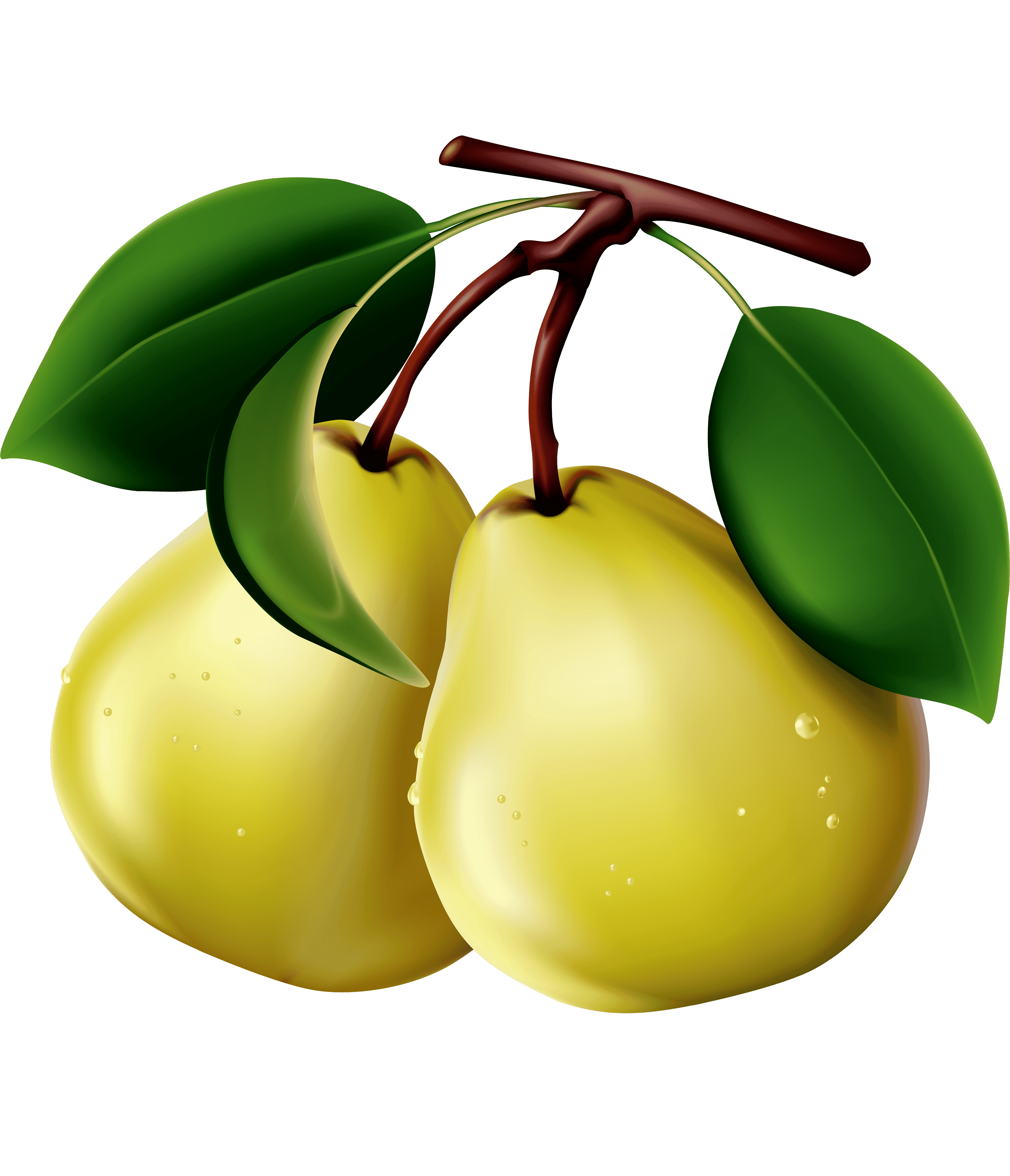 Раскраска Груша